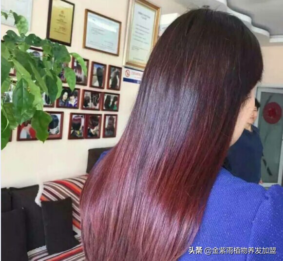 金紫雨养发加盟经营模式,加盟金紫雨植物养发靠谱吗