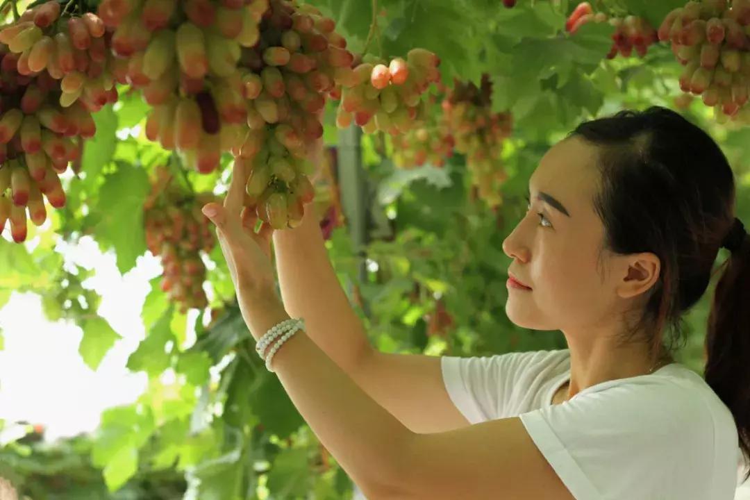 简阳五一有什么好玩的地方,国庆七天假去什么地方玩