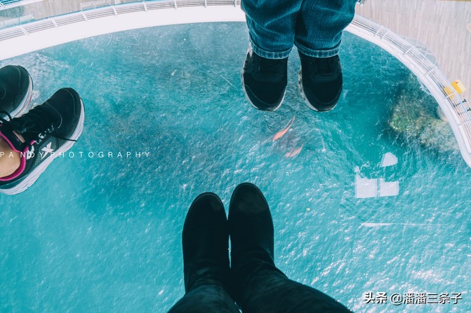 韩国有什么值得买的吃的,除了买买买还有什么活动