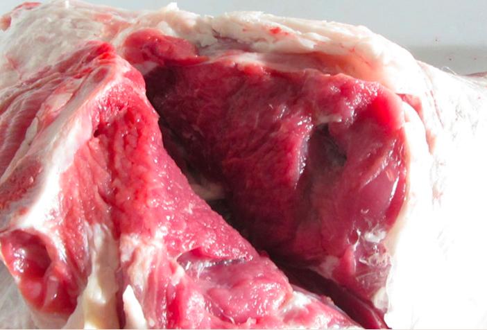 羊蹄山羊和绵羊哪个好,买羊肉山羊好还是绵羊好