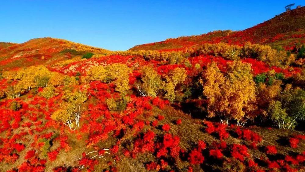 你好，我是“宝藏”城市——赤峰