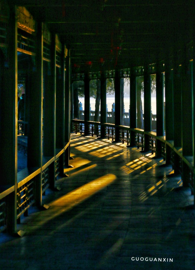 《晨辉情未了，光影长廊再写意》