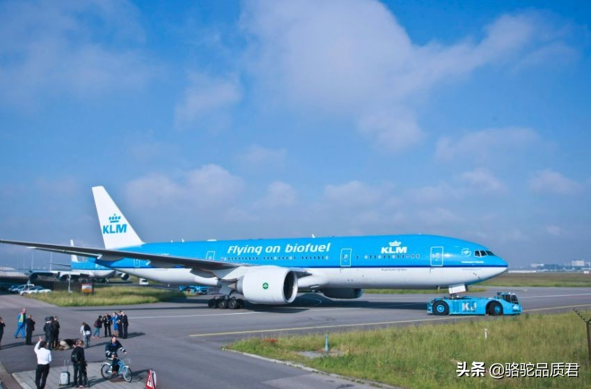 骆驼旅游路线,骆驼出行