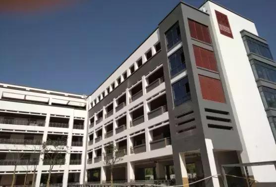 带屋顶的足球场,带屋顶的大型足球场