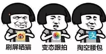 脑子一热养猫后悔怎么办,养猫后悔的原因有哪些