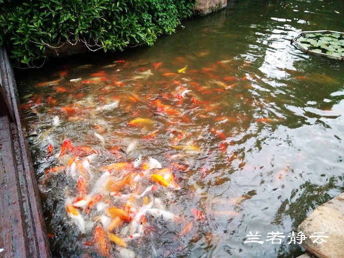 厦门日月谷温泉酒店预订价格,厦门日月谷温泉酒店套餐