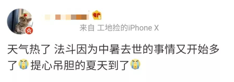 好好的狗怎么会得狂犬病,狗子中暑了