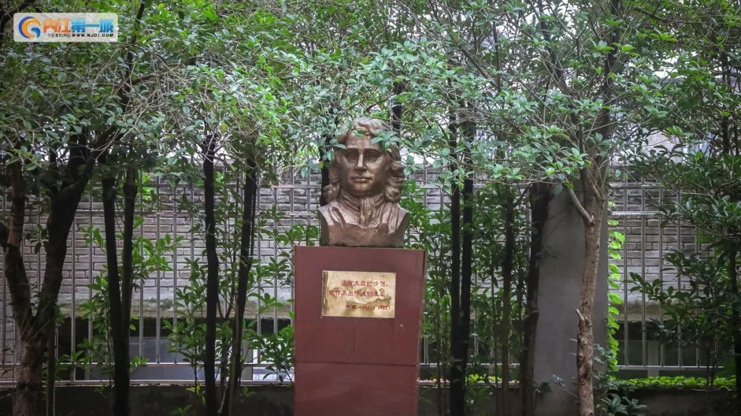 如果你是金牛座,如果你是金牛座还能改变吗