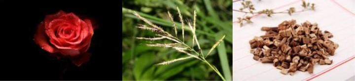 5款好闻到炸裂的香水,六款一定要买的香水香水控必入