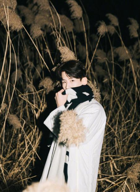 白敬亭企业文化,白敬亭企业口号