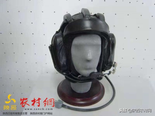 陕西烽火电子股份有限公司,陕西烽火电子股份有限公司现状