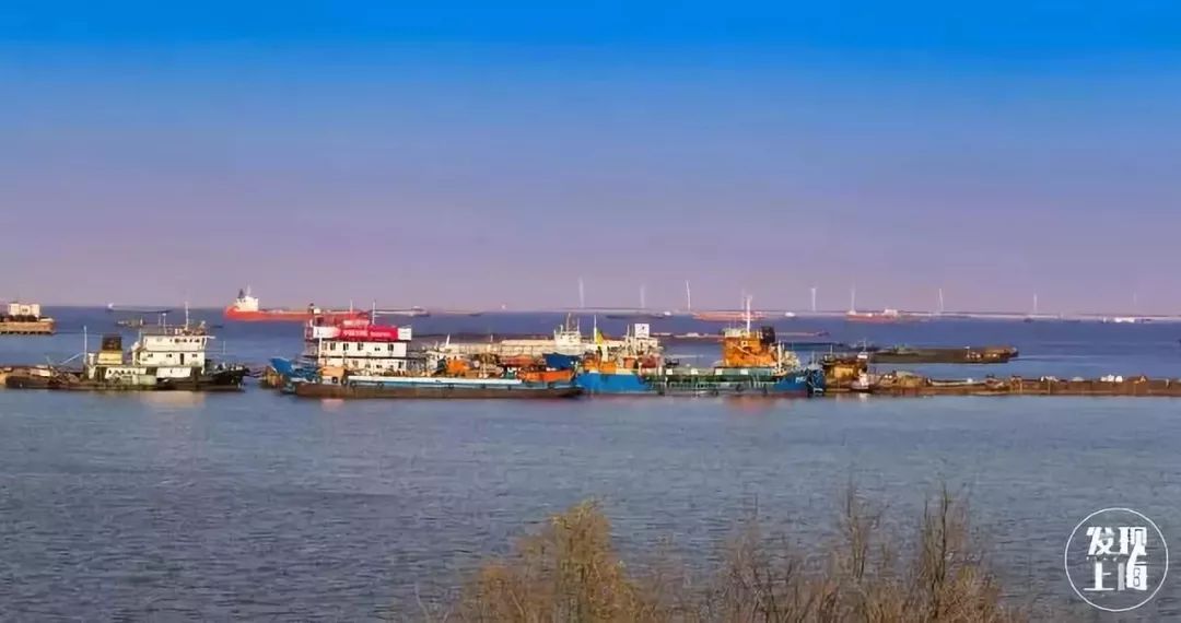 吵翻了!上海16个区终于正面PK!哪个是你心中的“扛把子”?