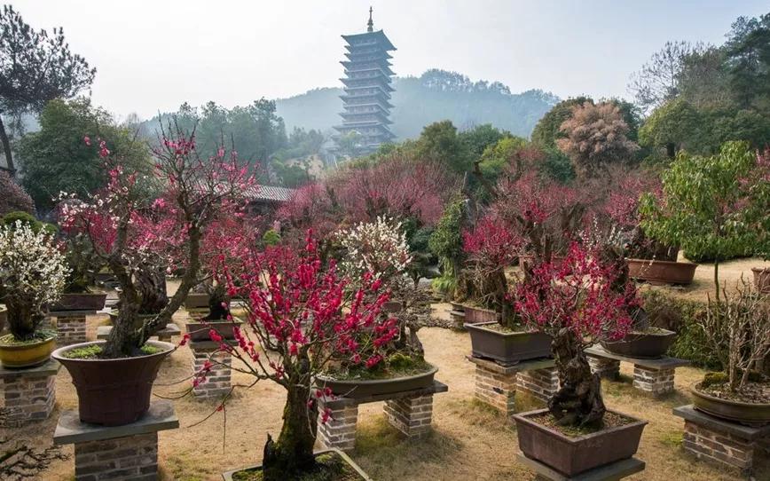 “百千桑梓地，亿万老家人”浙江省—衢州市—开化县（四）