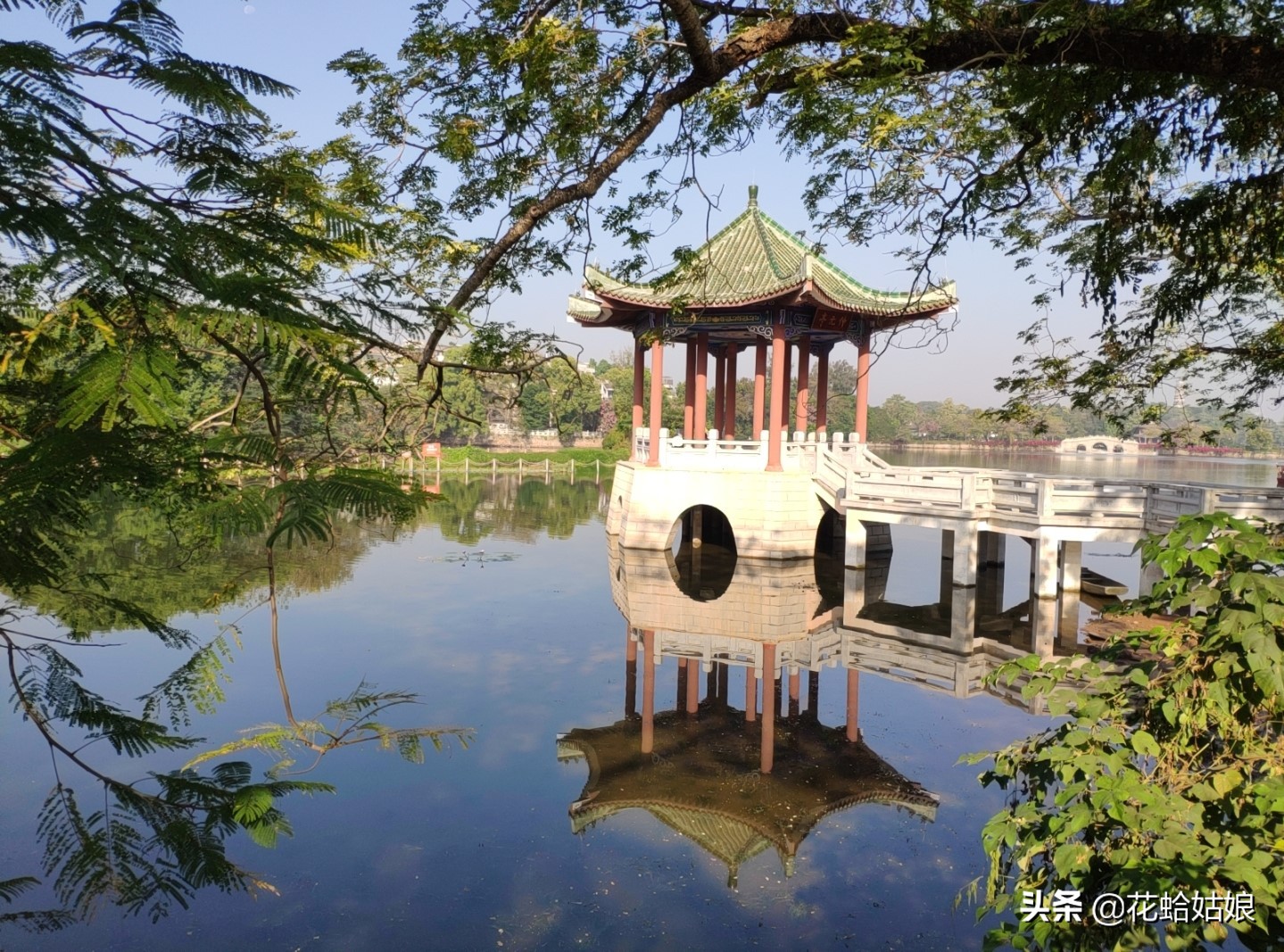 有苎萝西子之美誉的惠州西湖,是国家5*级A**旅游景区,静中带美