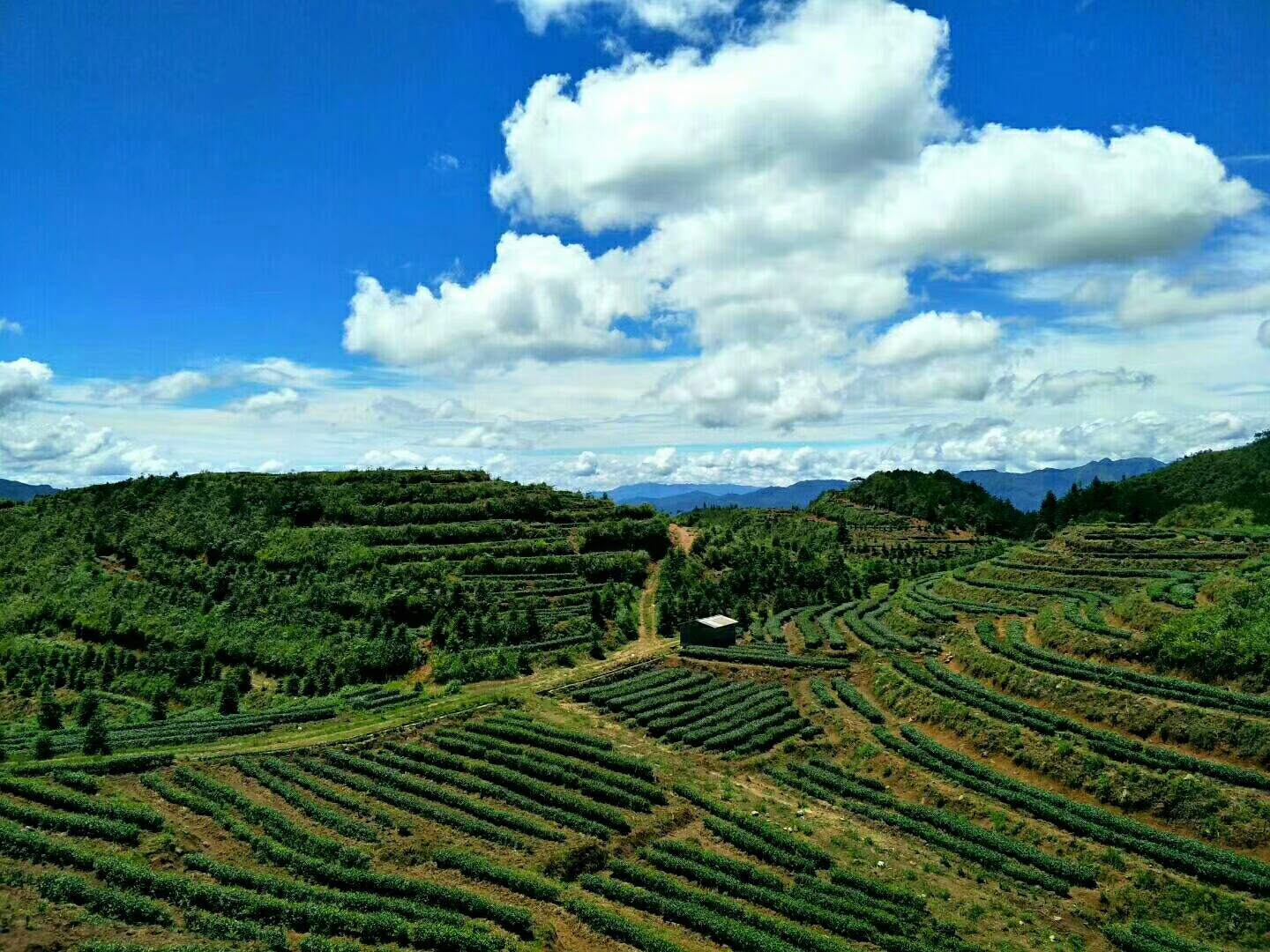 江西名牌产品申报,江西名牌产品