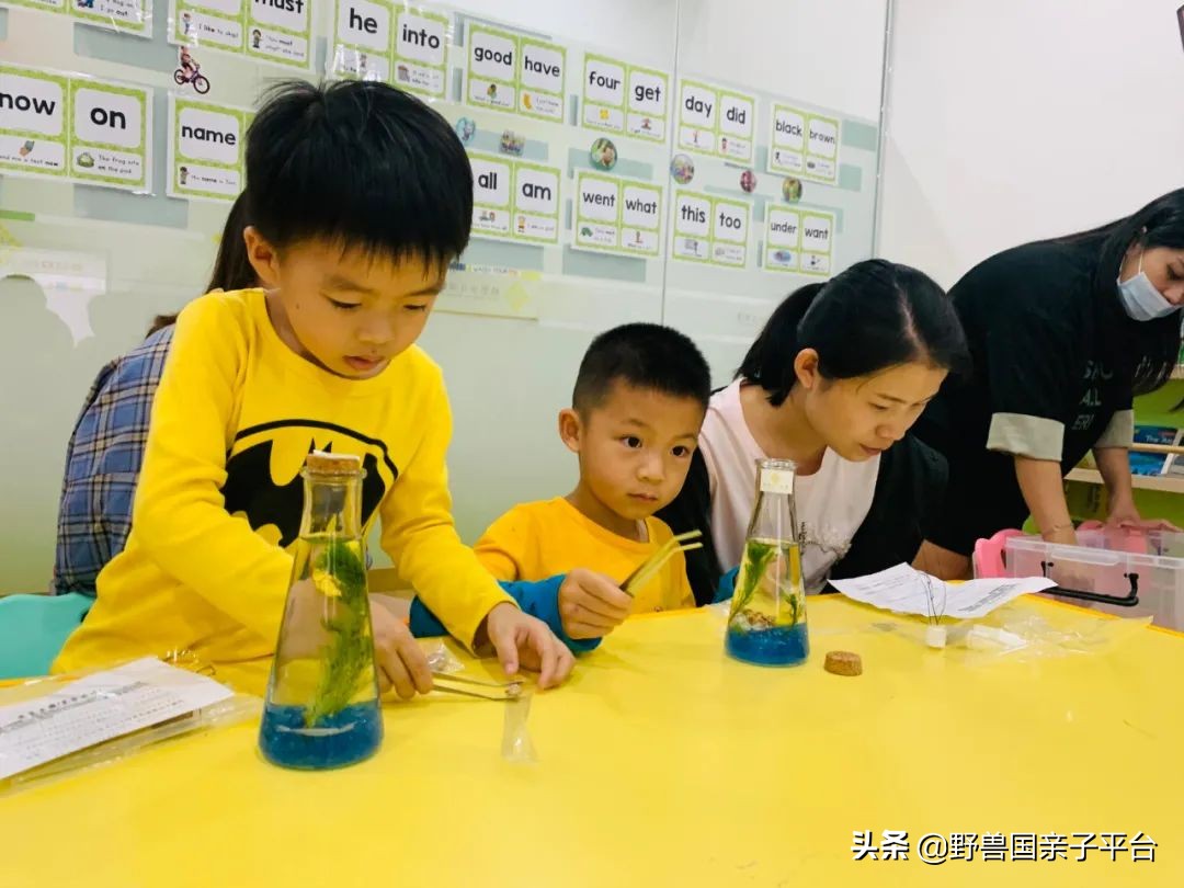 东莞新东方英语培训班好吗,东莞学英语的机构排名