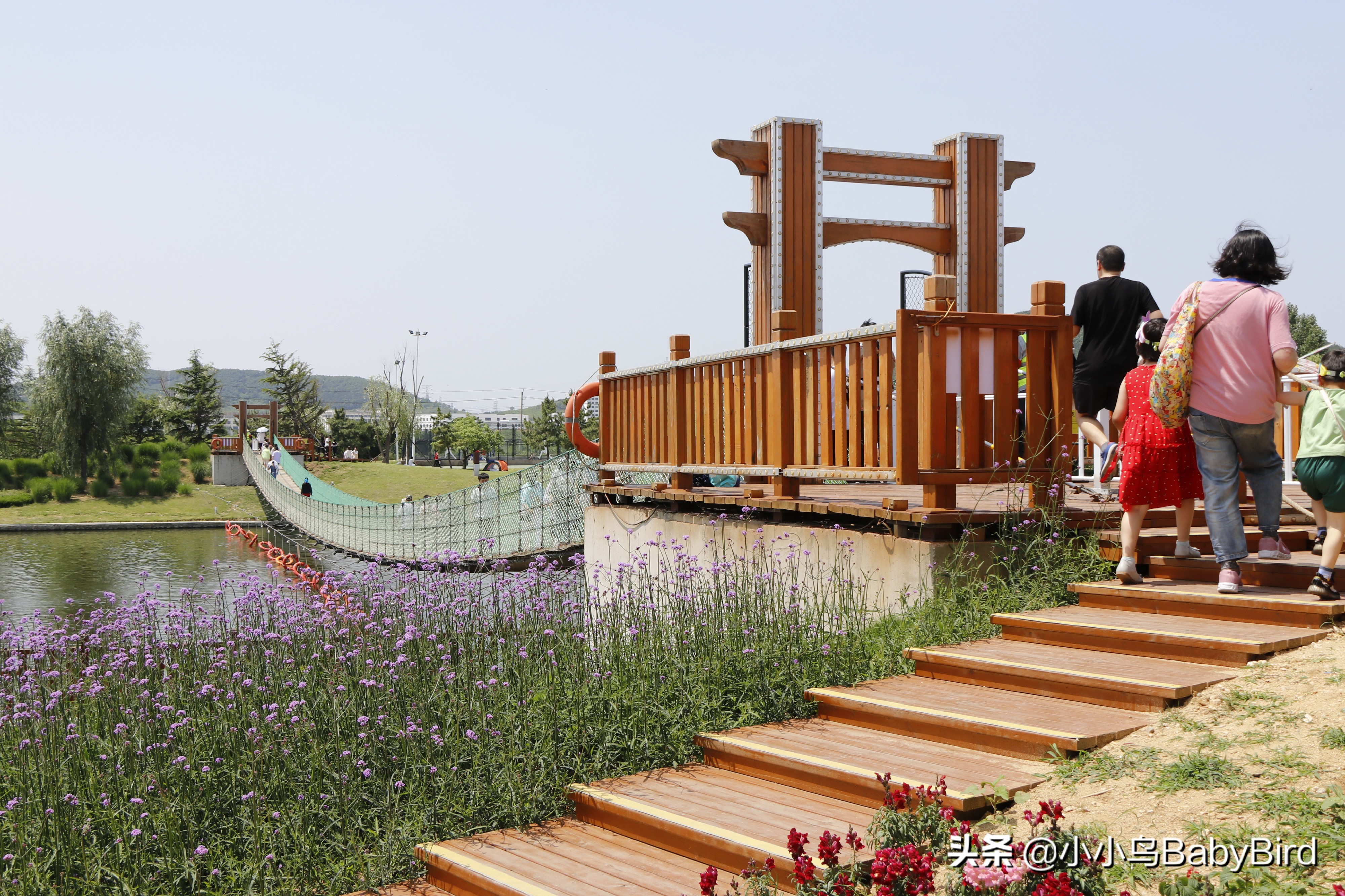 威海羊亭湿地公园深秋的美,大美威海羊亭公园