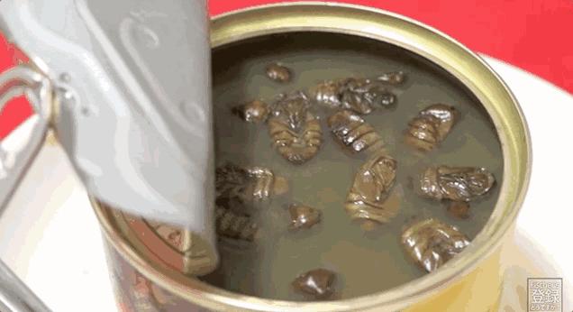 外国人谈中国人不吃罐头,当老外得知中国人不喜欢吃罐头