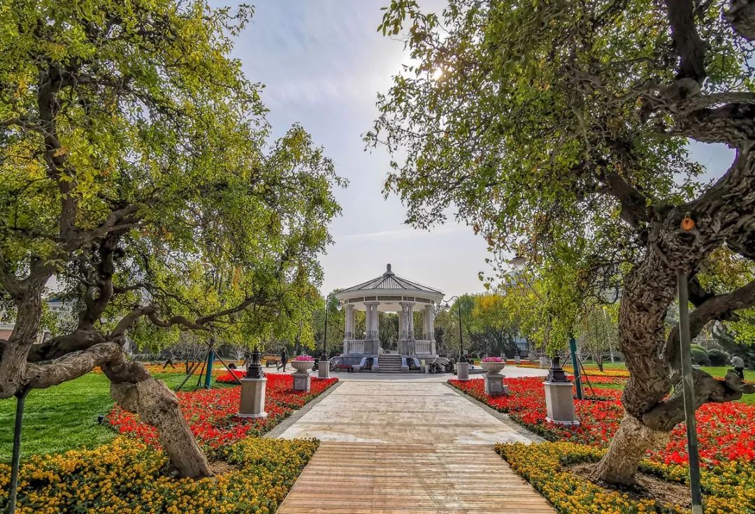 泰安免费公园和踏青好去处,准备好了吗带你畅游河南