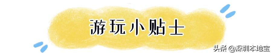 深圳出海到达的超美海岛,深圳最美海岛旅游攻略