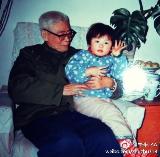 被外国人评价最美的中国女明星,被评为最美中国人的人有哪些