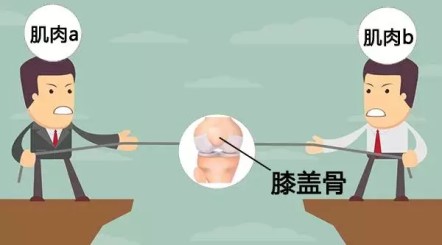 膝盖经常响还有疼痛感,膝盖下蹲时会嘎嘣响怎么回事