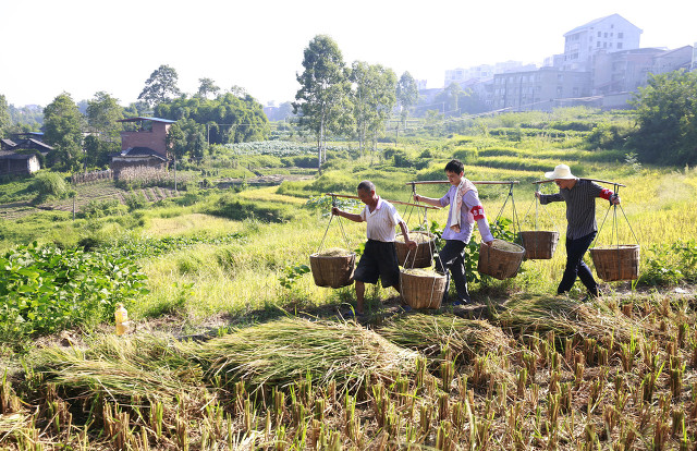 七月二十九是不是好日子,七月二十九有啥说法