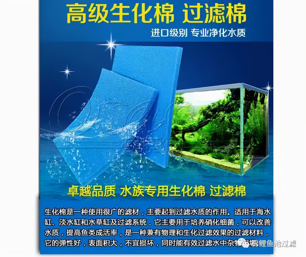 养锦鲤用过滤桶过滤系统,锦鲤鱼池沼泽过滤与生物过滤