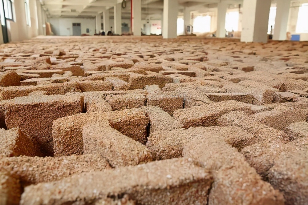 中药名称还能这样用？生死关头为什么选择用中药名做接头暗号？