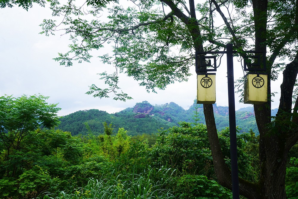 武夷山千禧大酒店金凤凰,武夷山千禧酒店温泉
