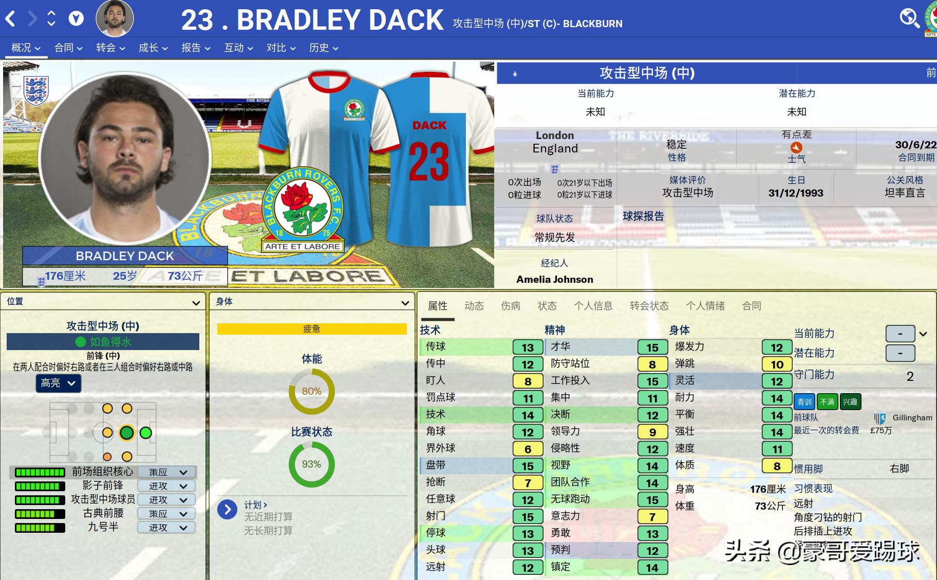 fm足球经理2024名单导入,fm2019足球经理战术