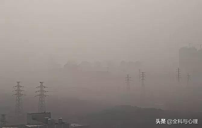 鼻子居然比菊花还脏？难怪春天一到，鼻炎又犯了丨春季专题