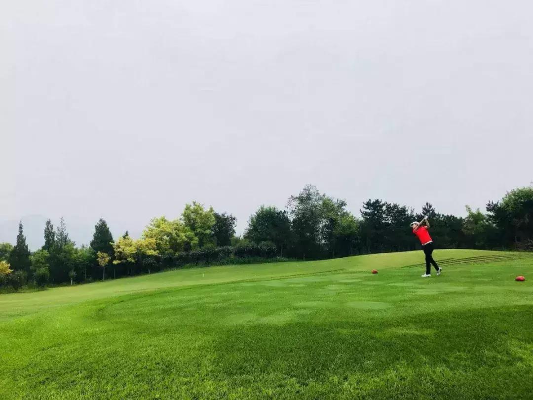 华鼎会一级巡回赛第四站-太伟站