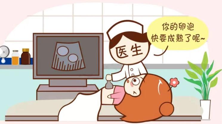 你以为妇产科的超声检查都是一样的吗？其实大有区别哦