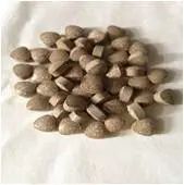 A-Z理研理化研究所简介