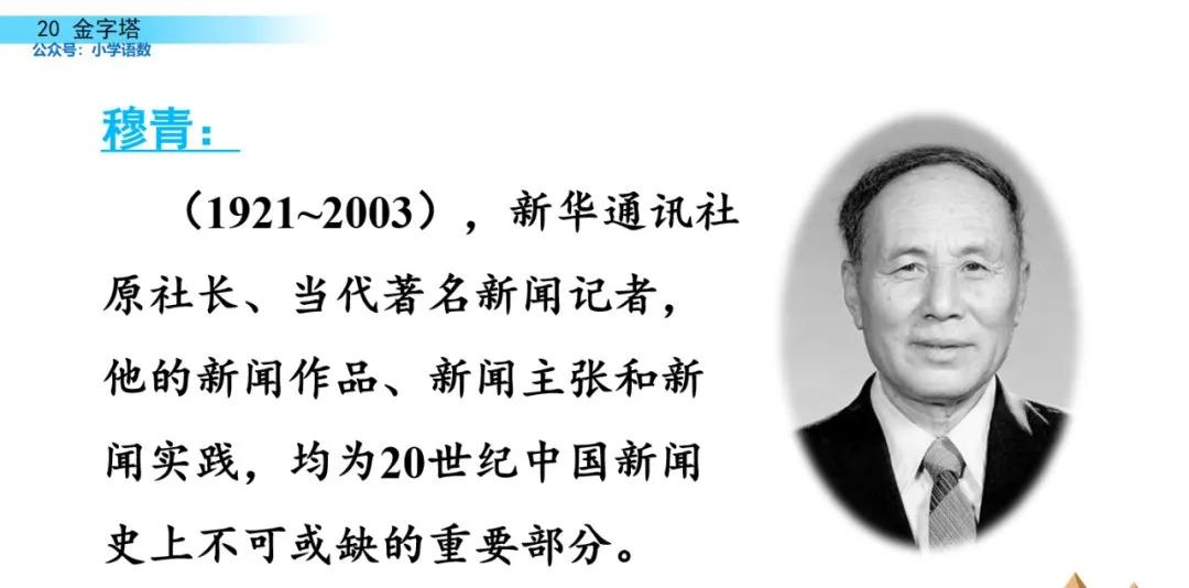 部编版五年级下册语文金字塔教案,语文书五年级下册第20课课后练习