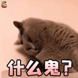 网易考拉买到假货怎么办不给退款,网易考拉卖假货