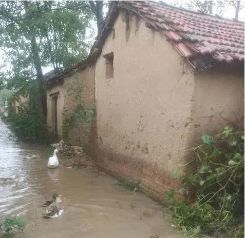 2020年双闰年双闰月是怎么回事,今年闰月双春年阴雨多吗