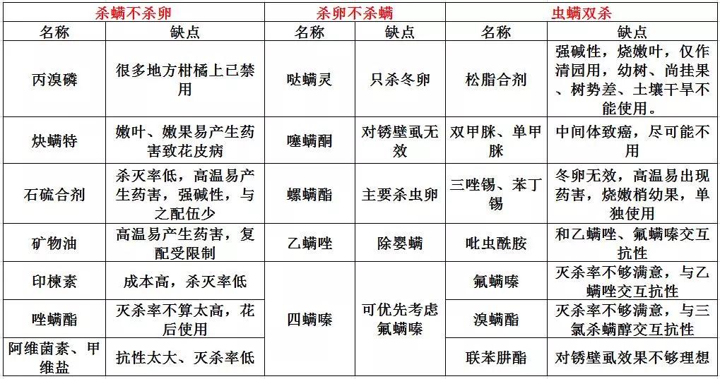 捕食螨真的可以防止红蜘蛛么,捕食螨哪个品牌杀红蜘蛛效果好