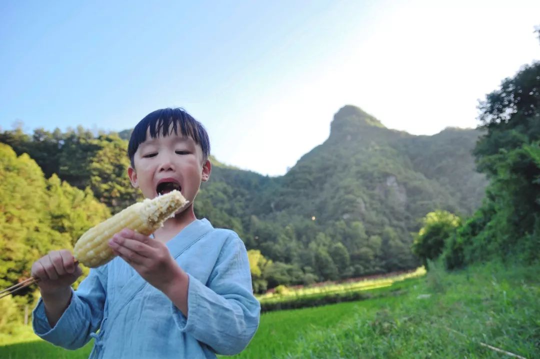 浙江杭州民宿3天二晚,浙江浦江登高村春社民宿