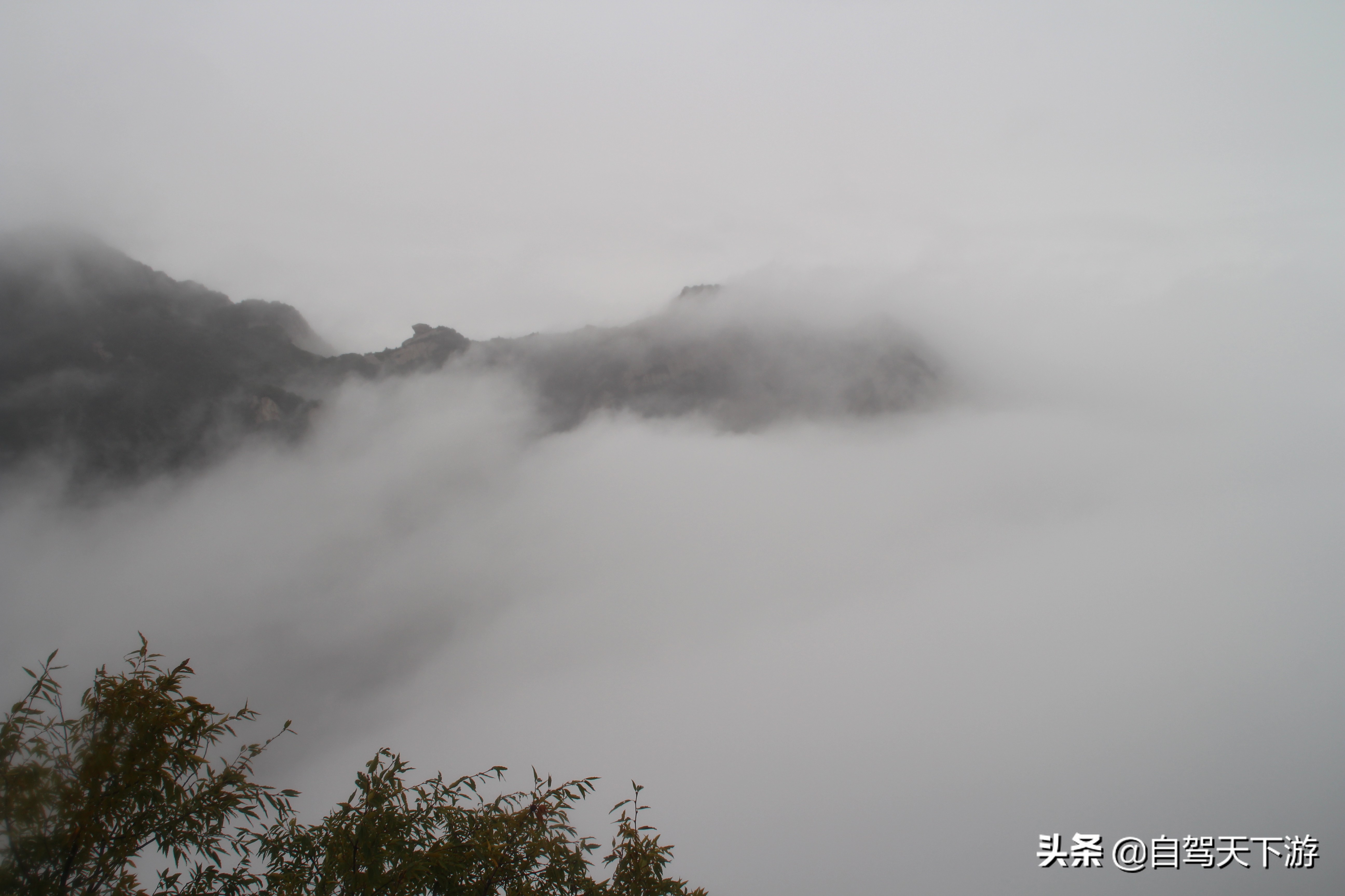 东岳泰山西岳华山中的五岳怎么记,西岳华山旅游攻略完整版