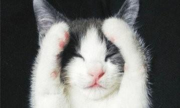 婚礼口误爆笑瞬间,爆笑口误合集