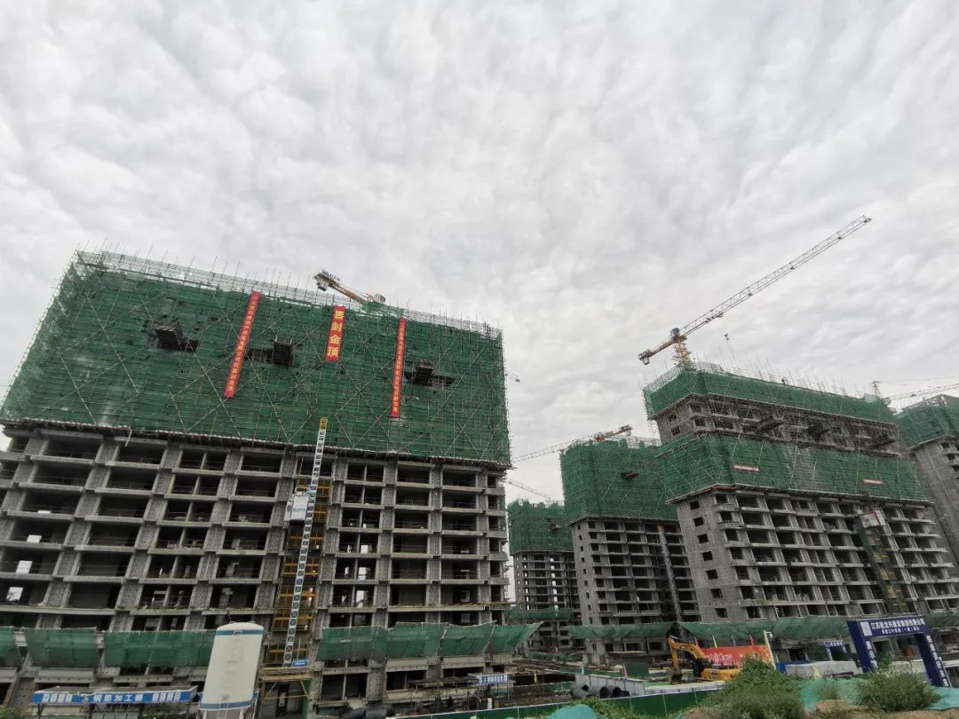 全面封顶季｜三叶品质始终如一，1#楼喜封金顶