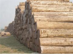 木材入门知识,进口木材的相关基础知识了解一下