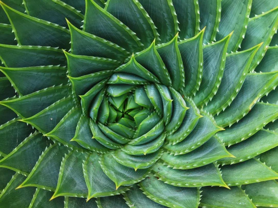 小蛮腰衣架设计图片,小蛮腰套衣架