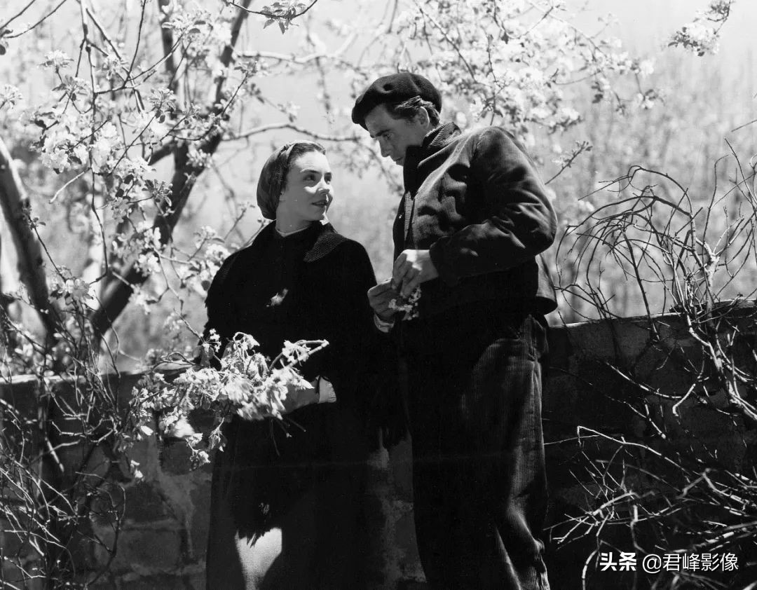 奥斯卡最佳摄影和最佳影片区别,2022奥斯卡最佳摄影影片