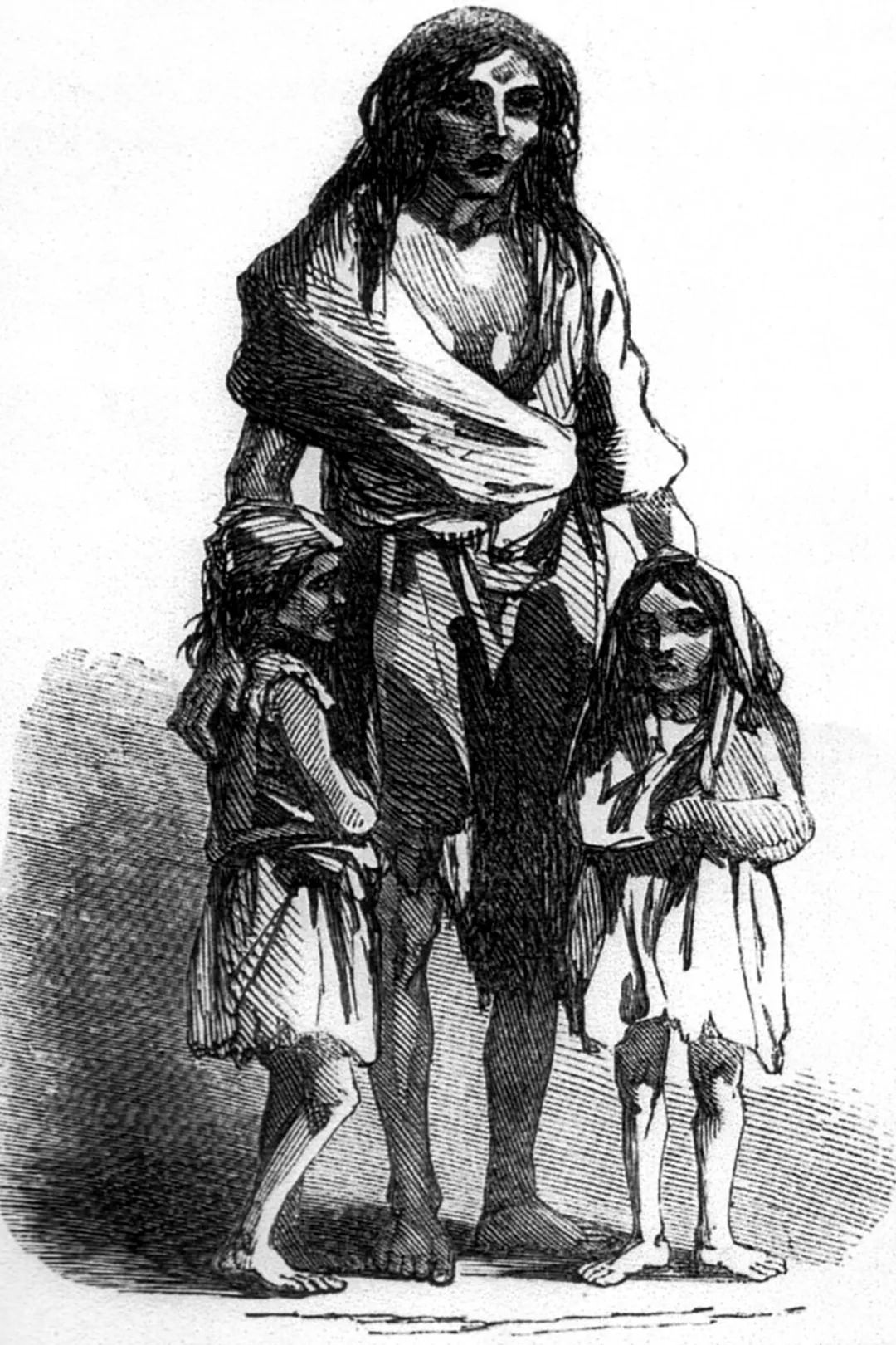 爱尔兰饥荒是由什么引起的,爱尔兰的饥荒是怎么回事