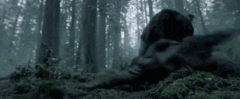 遇到熊如何自救搞笑,遇到熊怎么脱险