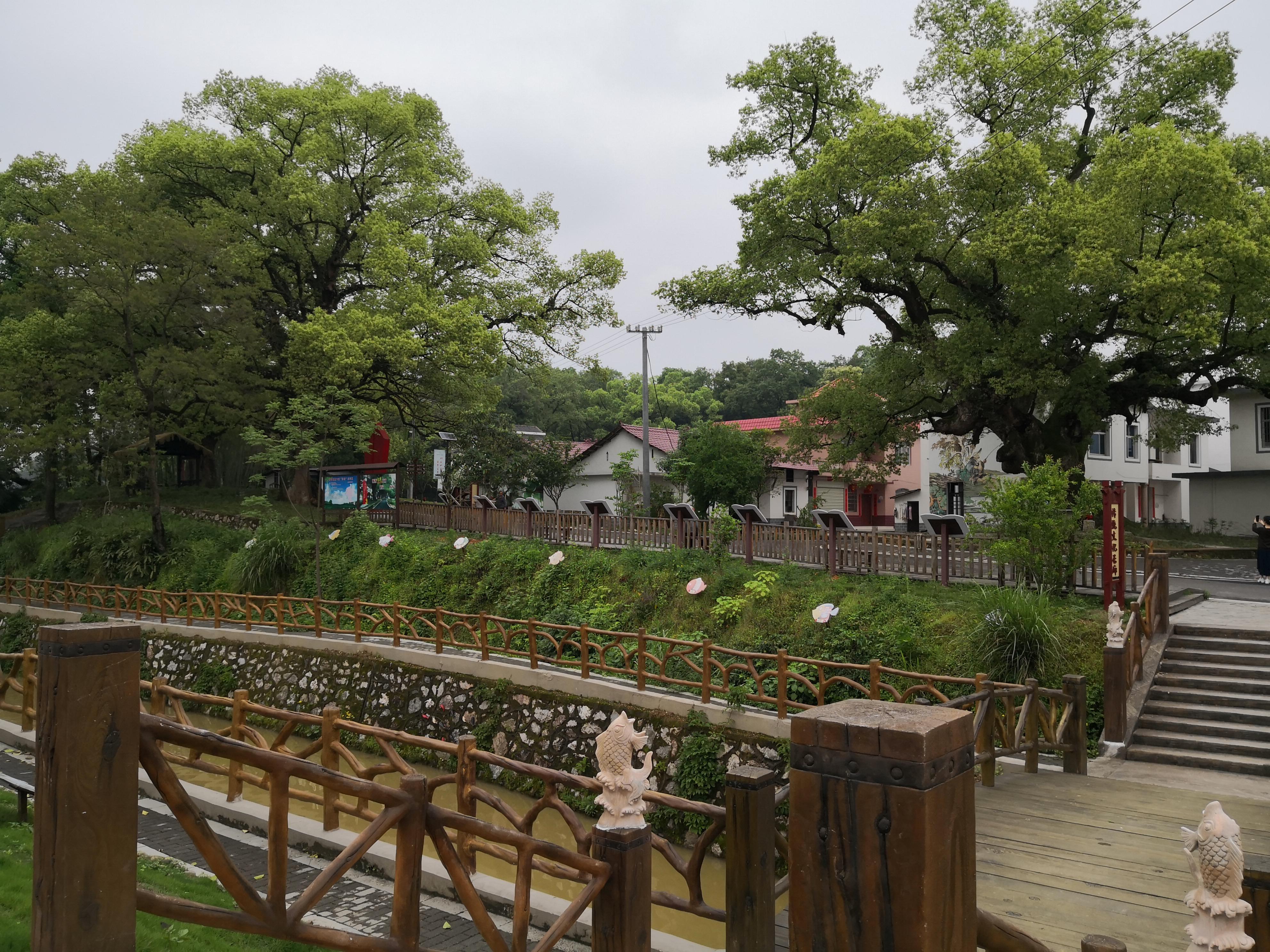 妈妈那边的亲戚称呼大全,山东亲属称呼大全