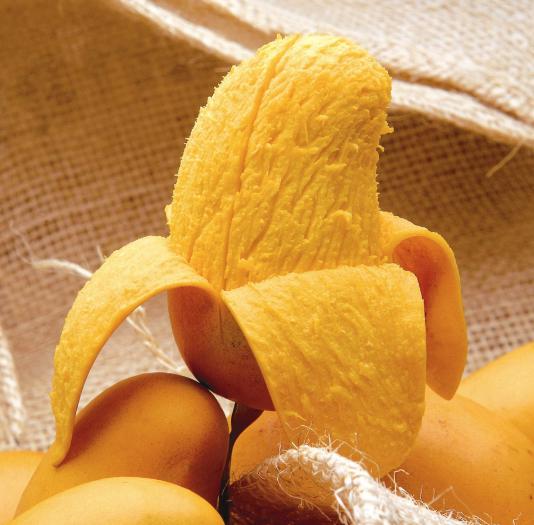 芒果吃饭攻略,芒果驾到